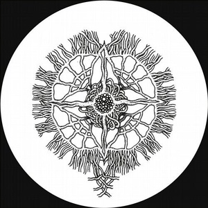 Oliver Rosemann - Intermediate World [MT23]