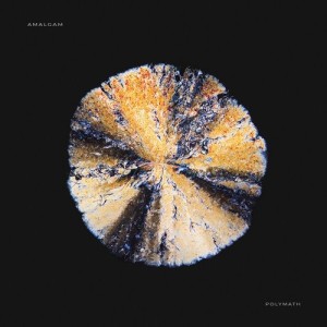Third Son - Amalgam [P012]