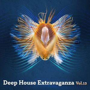 VA - Deep House Extravaganza, Vol.13 [TS190]