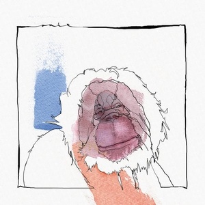 Acid Pauli - Had to Get rid of some shit [OUIE015]