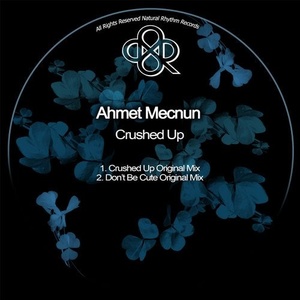 Ahmet Mecnun - Crushed Up [NR351]