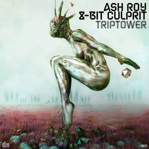 Ash Roy, 8-Bit Culprit - Triptower [SH075]