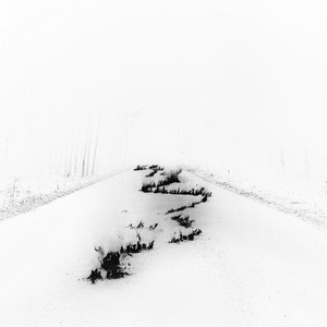 Bob Moses - Battle Lines [Remixed] [WIG386D2]