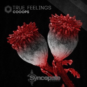 Cooops - True Feelings [CAT317693]