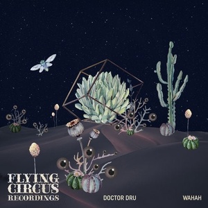 Doctor Dru - Wahah EP [FCR018]