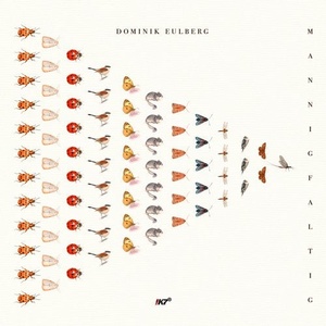 Dominik Eulberg - Mannigfaltig [K7380D]