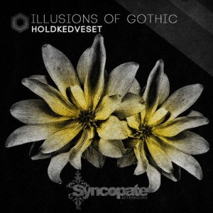 HOLDKEDVESET - Illusions Of Gothic [CAT321233]
