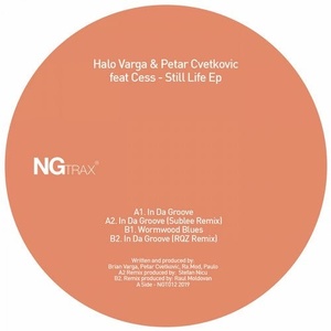 Halo Varga, Petar Cvetkovic - Still Life Ep [NGT012]
