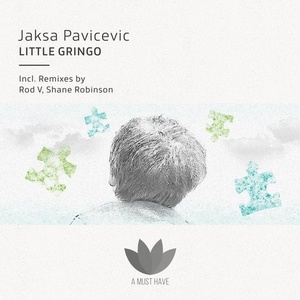 Jaksa Pavicevic - Little Gringo [AMH238]