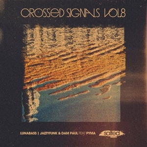 Lunabass, JazzyFunk, Dam Paul - Crossed Signals, Vol. 8 [SLT165]