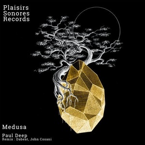 Paul Deep (AR) - Medusa EP [PSR021]