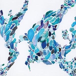 Quarion - Shades [DPC0733]