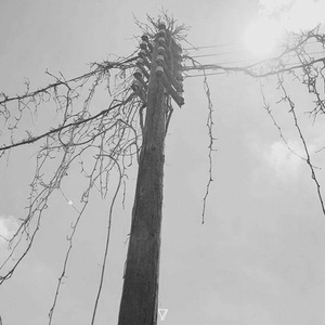 Jayden Klight, Udumusic - Contact Six [7V072]