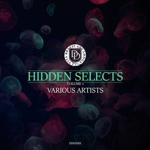 VA - Hidden Selects, Vol. 1 [DDHS001]