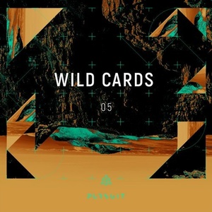 VA - Wild Cards 05 [PRST021]