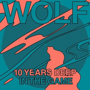 VA - Wolf 10 Years Deep in the Game [BLV6751088]