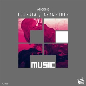 Ancone - Fuchsia / Asymptote [FG363]