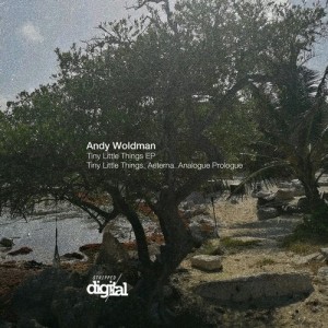 Andy Woldman - Tiny Little Things [280SD]