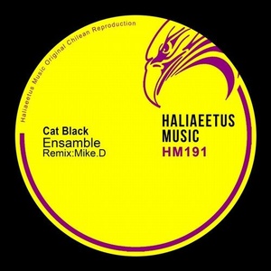 Cat Black - Ensamble [HM0191]