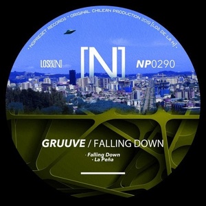 Gruuve - Falling Down [NP0290]
