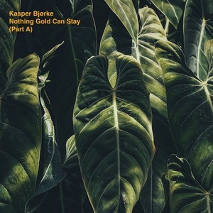 Kasper Bjørke - Nothing Gold Can Stay (Part A) [HFN95BP]