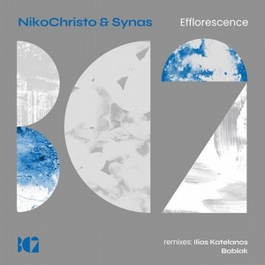 NikoChristo, Synas - Efflorescence [BC2281]