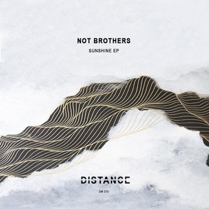 Not Brothers - Sunshine EP [DM075]