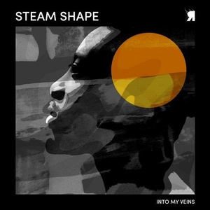 Steam Shape - Into My Veins [RSPKT175]