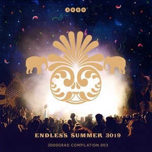 VA - Endless Summer 3019 [3000GRADDIGICOMP003]