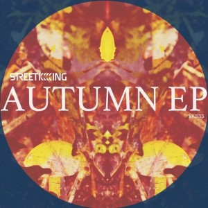 VA - Street King Autumn EP [SK533]