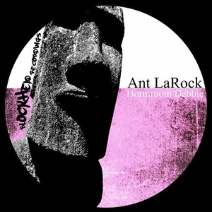 Ant LaRock - Dormroom Debbie [BHD208]