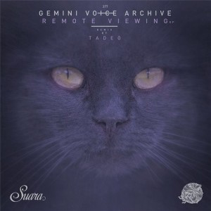 Gemini Voice Archive - Remote Viewing EP [SUARA377]