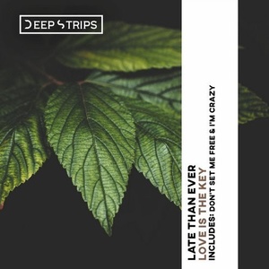 Late Than Ever - Love Is The Key [DS000087]