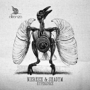 Niereich, Shadym - Hyperspace [ALLE127]