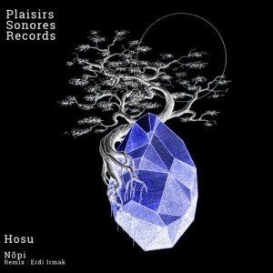 Nopi (UA) - Hosu EP [PSR022]