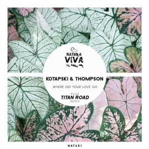 Thompson, Kotapski - Where Did Your Love Go [NAT651]