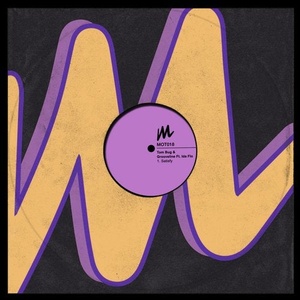 Tom Bug, Grooveline, IDA fLO - Satisfy (Remixes) [MOT018R]