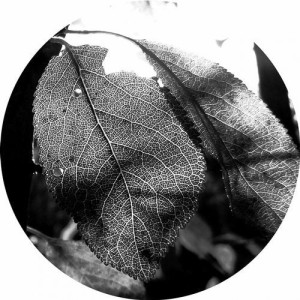 VA - Affinity 3 [AFFIN048LTD]