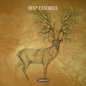 VA - Deep Essences [STT056]