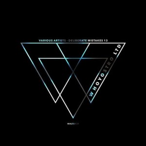VA - Deliberate Mistakes 13 [WHLTD139]