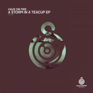 Haus On Fire - A Storm in a Teacup [ST239]