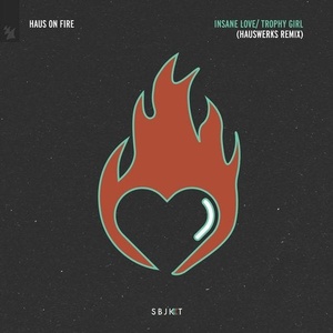 Haus On Fire - Insane Love (Hauswerks Extended Remix) [ARSBJKT115]