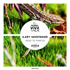 Ilary Montanari  - Road To Mars Ep [NAT652]