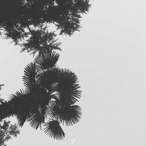 Nhar - Appel Lointain [7V078]