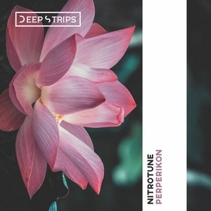 Nitrotune - Perperikon [DS000096]