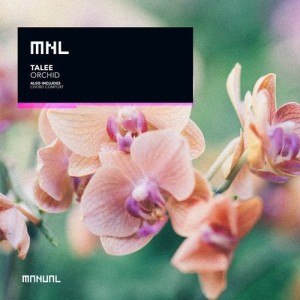 Talee - Orchid [MNL177]
