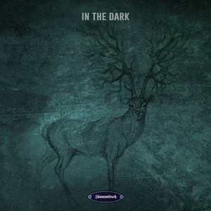 VA - In The Dark [STT058]