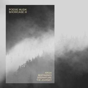 VA - Poesie Musik Showcase, Vol. 3 [POM094]