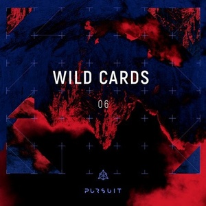 VA - Wild Cards 06 [PRST024]