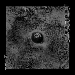 Bostro Pesopeo - Meti [PERMVAC1941]